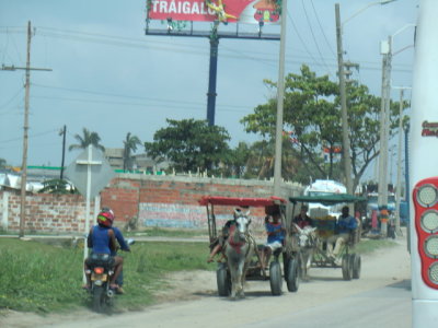 CIMG4483.JPG