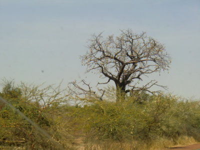 CIMG5843.JPG