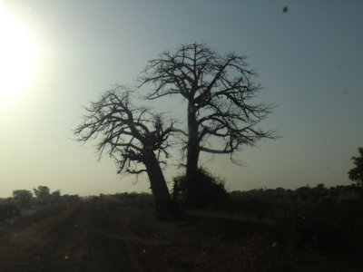 CIMG5865.JPG