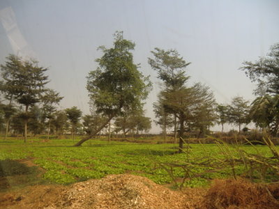 CIMG6207.JPG