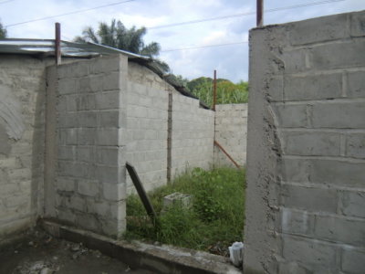 CIMG7484.JPG