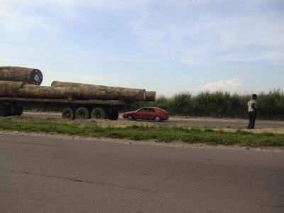 CIMG7660.JPG