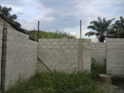 CIMG7487.JPG