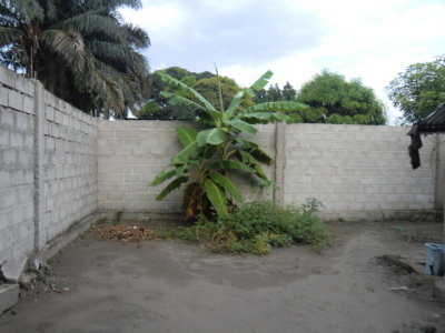 CIMG7497.JPG