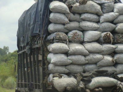CIMG7810.JPG