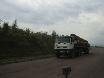 CIMG7729.JPG