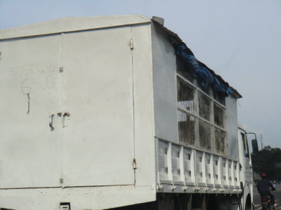 CIMG7641.JPG