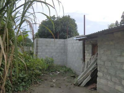 CIMG7499.JPG