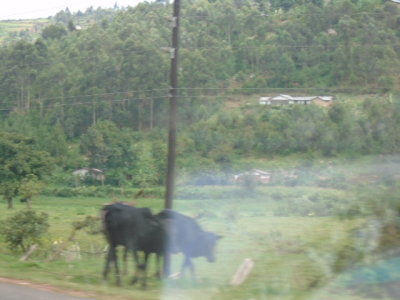 DSC00200.JPG