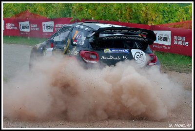 LOEB WRC ALSACE 2013 3.jpg