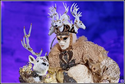 DSC_2917_DxO.jpg