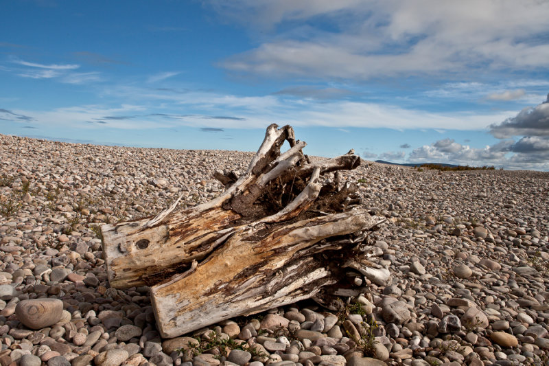 Spey Bay, Moray Firth