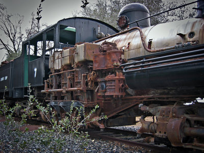 Shay-locomotive