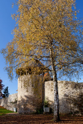 Alter Wehrturm in der Stadtmauer an der Freilichtbhne im Schiehagen