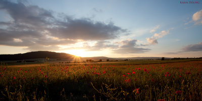 Sonnenuntergang im Mohn, nahe Korbach