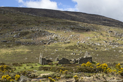 Ruinen in den Wicklow Mountains