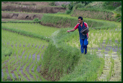 Spreading fertilizer
