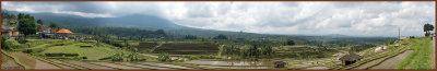 Panorama of Jatiluwih