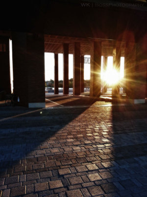 || UMASS Boston ||