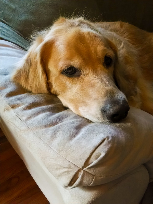Pretty Sad Girl