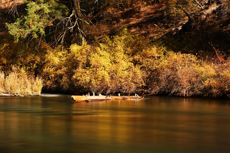 Over the Rivers and Through the Woods