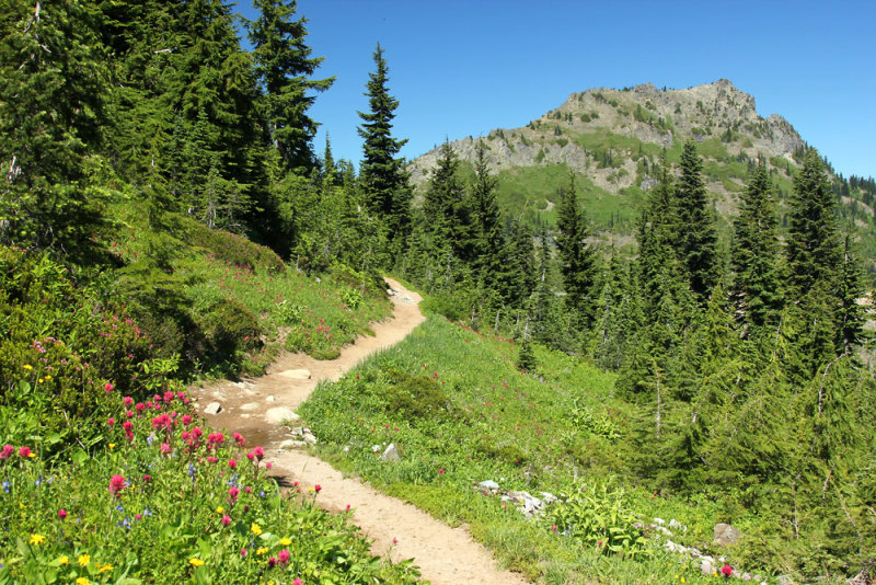 Natches Peak Trail