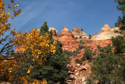 g9/67/34567/3/150185533.MWneT07n.jpg