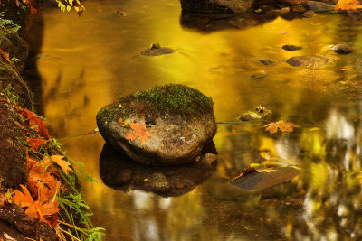 Day 20 - Lithia Park