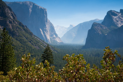 DSC_4823.jpg
