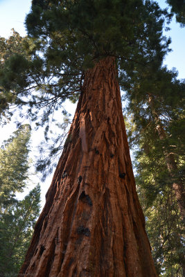 DSC_5195.jpg