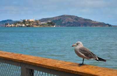 DSC_5275.jpg