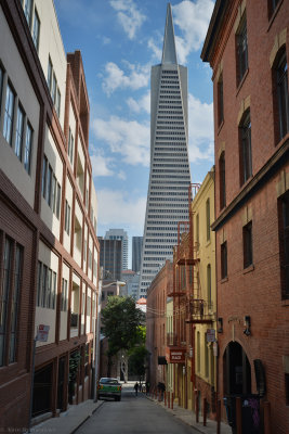 DSC_5364.jpg