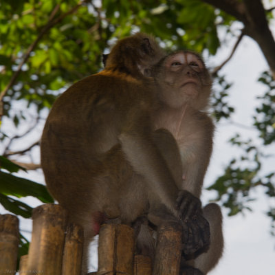 DSC_0352.JPG