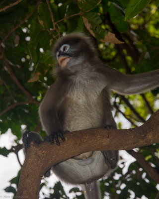 DSC_0344.JPG