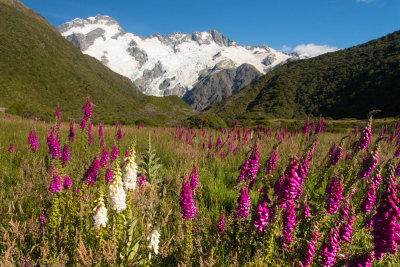 Aoraki/Mount Cook