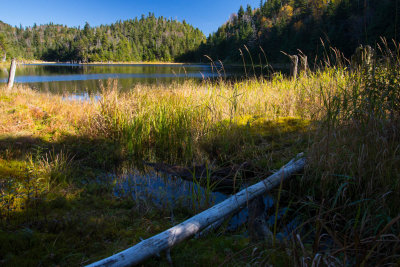 Automne-Sutton