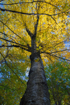 DSC_8695.jpg