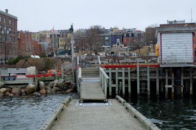 DSCF0255.jpg