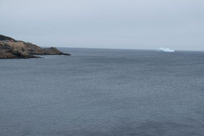 DSCF0348.jpg