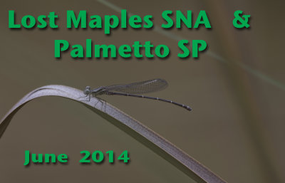 g9/67/427067/3/156274777.sliLmNLd.jpg