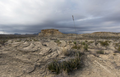 BBNP 008.jpg