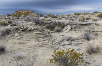 BBNP 009.jpg