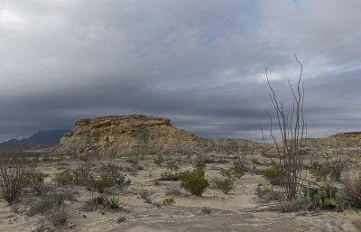 BBNP 010.jpg