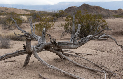 BBNP 012.jpg