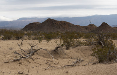 BBNP 013.jpg