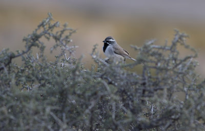 BBNP 017.jpg