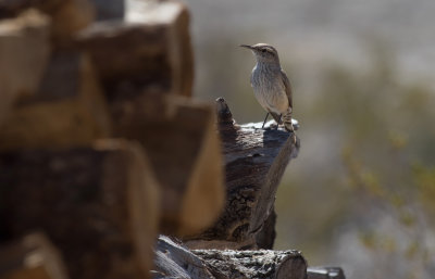 BBNP 030.jpg
