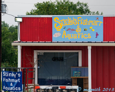 Stinky's Fishmart & Aquatics