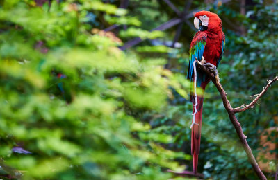 Queens Zoo