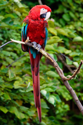 Queens Zoo